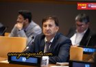 यूएन महासभा में भारत का दो-टूक रुख: सीमा पार आतंकवाद पर ‘जीरो टॉलरेंस’, संयुक्त राष्ट्र में सांसद प्रो. सिकंदर कुमार ने उठाया मुद्दा