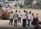 नाहन शहर से बेसहारा पशुओं को हटाने की मुहिम जारी, गौ अभ्यारण कोटला बड़ोग भेजे जा रहे पशु