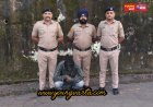 माजरा पुलिस ने पुरुवाला पुल के पास गुप्त सूचना के आधार पर 6.61 ग्राम चिट्टा के साथ एक को किया गिरफ्तार