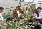 मनमोहन शर्मा ने धारों की धार में प्रगतिशील बागवान करण सिंह द्वारा स्थापित ब्लूबेरी फ्रंट लाइन डेमोंस्ट्रेशन इकाई का किया दौरा