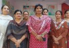 सीएम सुक्खू के तोहफे से खुशियों भरी दिवाली, डीए बढ़ने से खिले कर्मचारियों के चेहरे