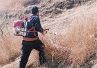 सर्दियों के चारे के लिए जुन्गा क्षेत्र में घास कटाई का काम युद्धस्तर पर