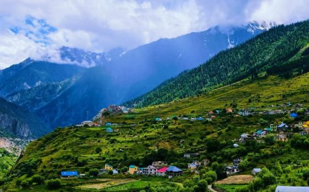 ग्राम पंचायत शकोली का ऐतिहासिक फैसला — नशे के खिलाफ सख्त कदम, स्वच्छता और स्वास्थ्य की ओर बड़ा प्रयास