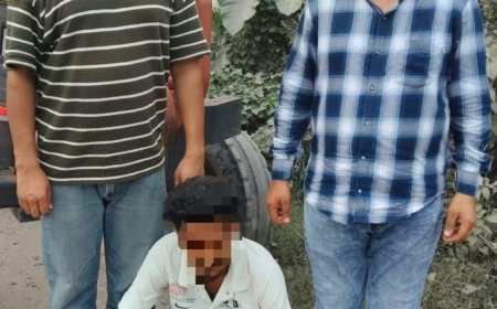 सिरमौर पुलिस की PO Cell टीम ने पांच मामलों में वांछित उद्घोषित अपराधी को किया गिरफ्तार