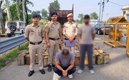 पुलिस की बड़ी कार्रवाई, ट्रक से 270 टीन बिरोजा पकड़ा, चालक गिरफ्तार