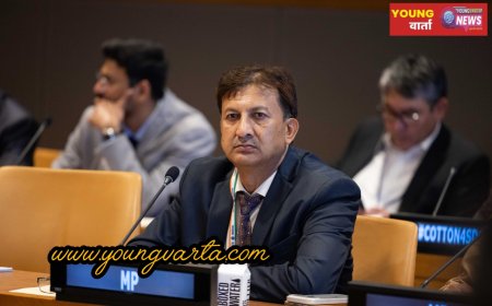 यूएन महासभा में भारत का दो-टूक रुख: सीमा पार आतंकवाद पर ‘जीरो टॉलरेंस’, संयुक्त राष्ट्र में सांसद प्रो. सिकंदर कुमार ने उठाया मुद्दा