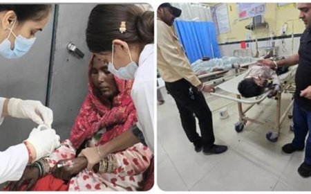 पीरनिगाह में बाइक रेहड़ी पलटी, दादी और पोते की माैत, परिवार के छह सदस्य घायल