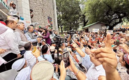 सरकार गिराकर MLA भी चोरी करती है भाजपा, इंडिया गठबंधन के प्रदर्शन में शामिल हुए मुख्यमंत्री सुक्खू का आरोप
