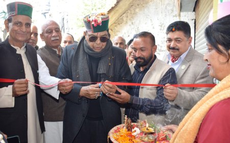महिला आर्थिकी के साथ क्षेत्र के विकास को नई दिशा प्रदान करेंगी टमाटर प्रसंस्करण इकाइयां - डॉ. शांडिल