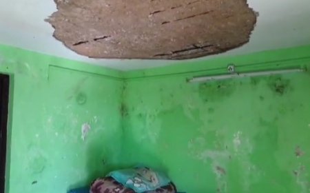 नौहराधार CHC में बड़ा हादसा होने से टला, प्लास्टर गिरने के कारण घायल हुआ कर्मचारी