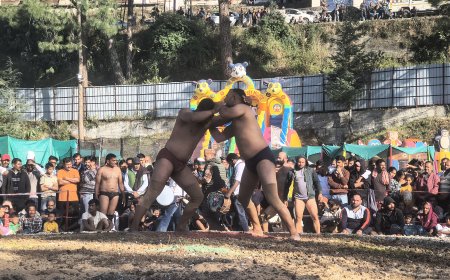 दशहरा मेला जुन्गा की बड़ी माली पानीपत के रोहित ने जीती