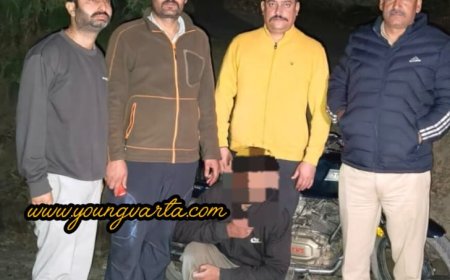 पच्छाद में 9.82 ग्राम चिट्टे के साथ एक आरोपी गिरफ्तार, NDPS एक्ट के तहत मामला दर्ज