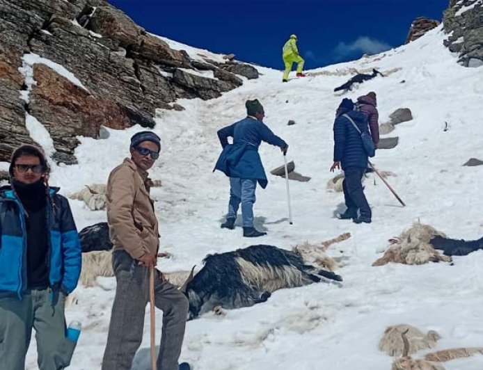 रुपिन पास में बर्फीले तूफान के बीच भेड़-बकरियों संग फंस गए थे चरवाहे, पुलिस ने किया रेस्क्यू