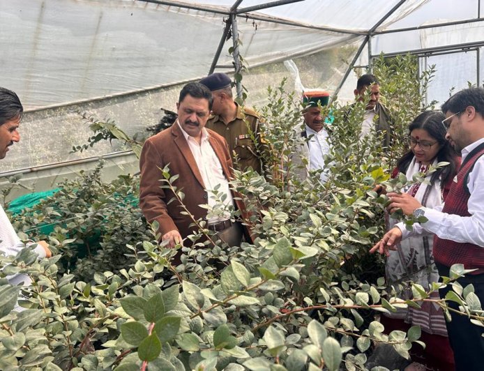 मनमोहन शर्मा ने धारों की धार में प्रगतिशील बागवान करण सिंह द्वारा स्थापित ब्लूबेरी फ्रंट लाइन डेमोंस्ट्रेशन इकाई का किया दौरा